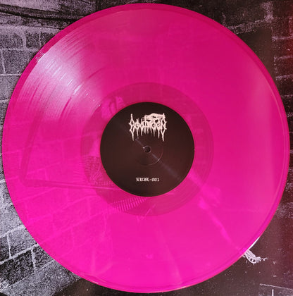 Death Before Dishonour (VINYL) | Near Mint (NM or M-) Near Mint (NM) - METAL / USED *NEAR MINT*