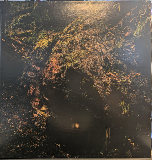 Bloodmines (RED VINYL) | Near Mint (NM or M-) Mint (M) - METAL / USED *NEAR MINT*