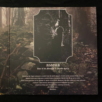 Mountain Of Malevolence (VINYL) | Near Mint (NM or M-) Near Mint (NM or M-) - METAL / USED *NEAR MINT*
