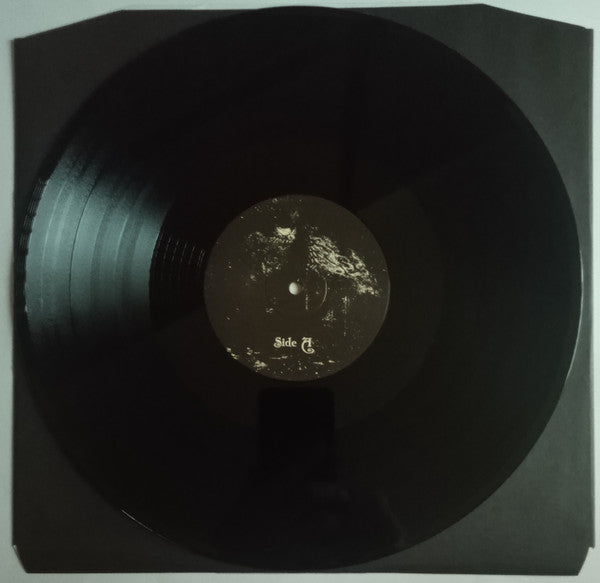 A Kingdom In Ruin (VINYL) | Near Mint (NM or M-) Near Mint (NM or M-) - METAL / USED *NEAR MINT*