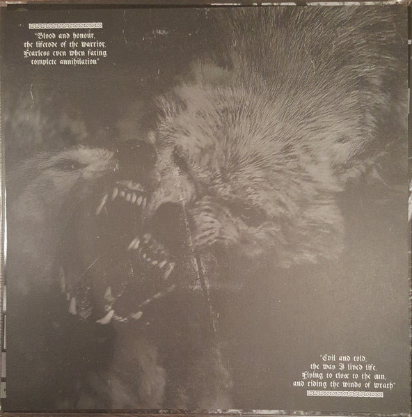 Veil Of Ancient Darkness (VINYL) | Near Mint (NM) Near Mint (NM) - METAL / USED *NEAR MINT*