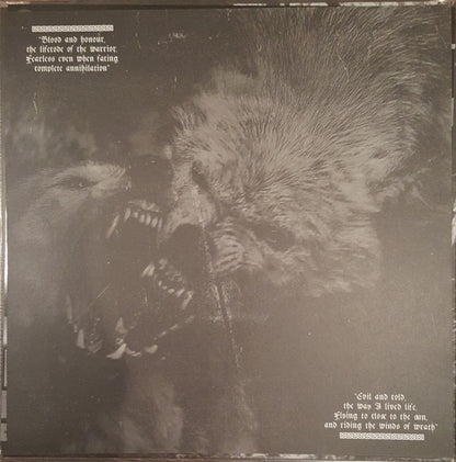 Veil Of Ancient Darkness (VINYL) | Near Mint (NM) Near Mint (NM) - METAL / USED *NEAR MINT*