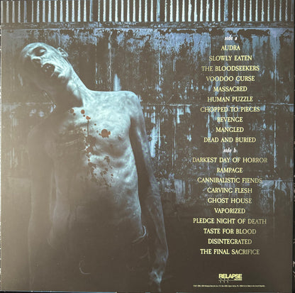 Darkest Day Of Horror (VINYL) | Near Mint (NM) Near Mint (NM) - METAL / USED *NEAR MINT*
