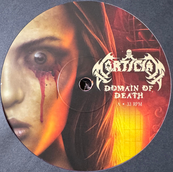 Domain Of Death (VINYL) | Near Mint (NM) Near Mint (NM) - METAL / USED *NEAR MINT*