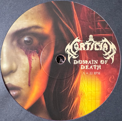 Domain Of Death (VINYL) | Near Mint (NM) Near Mint (NM) - METAL / USED *NEAR MINT*