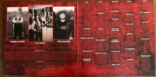 Chainsaw Dismemberment (2xVINYL) | Near Mint (NM) Near Mint (NM) - METAL / USED *NEAR MINT*