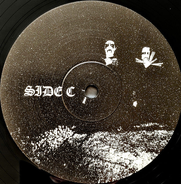 The Longing (2xVINYL) | Near Mint (NM) Near Mint (NM or M-) - METAL / USED *NEAR MINT*