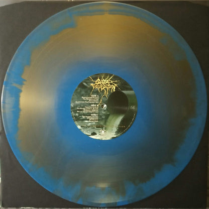 The Anthropocene Extinction (2XVINYL) | Near Mint (NM) Near Mint (NM) - METAL / USED *NEAR MINT*