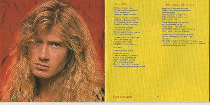 Rust In Peace (CD) | Near Mint (NM or M-) Near Mint (NM or M-) - METAL / USED *NEAR MINT*