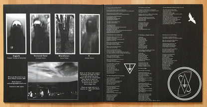 The Blood Of The Ancients (VINYL) | Near Mint (NM) Near Mint (NM) - METAL / USED *NEAR MINT*