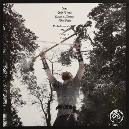 Stella Polaris (VINYL) | Near Mint (NM or M-) Near Mint (NM or M-) - METAL / USED *NEAR MINT*