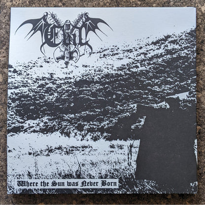 A Reflection Of The Past / Where The Sun Was Never Born (VINYL + 7") | Near Mint (NM or M-) Near Mint (NM or M-) - METAL / USED *NEAR MINT*