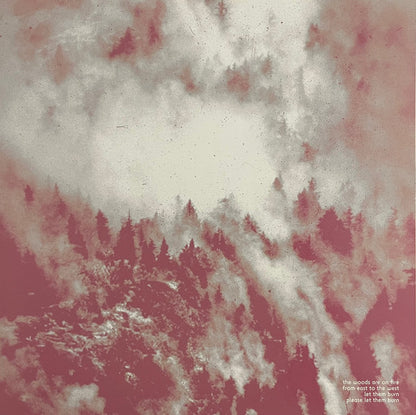 Try Not To Destroy Everything You Love (VINYL) | Near Mint (NM) Near Mint (NM) - METAL / USED *NEAR MINT*