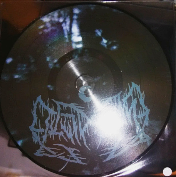 The First Sub-Level Of Suicide (PICTURE VINYL) | Near Mint (NM or M-) Near Mint (NM or M-) - METAL / USED *NEAR MINT*