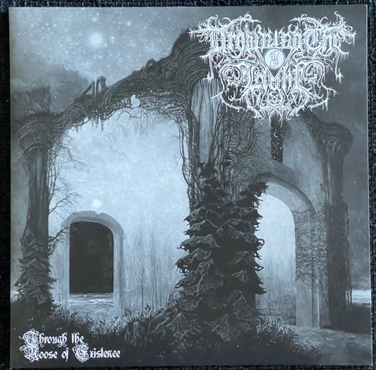 Through The Noose Of Existence (VINYL) | - METAL / USED *NEAR MINT*