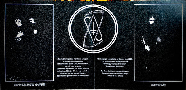 The Longing (2xVINYL) | Near Mint (NM) Near Mint (NM or M-) - METAL / USED *NEAR MINT*