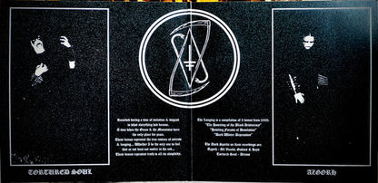 The Longing (2xVINYL) | Near Mint (NM) Near Mint (NM or M-) - METAL / USED *NEAR MINT*