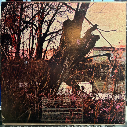Black Sabbath (VINYL) | Near Mint (NM or M-) Excellent+ (EX+) - METAL / USED *NEAR MINT*