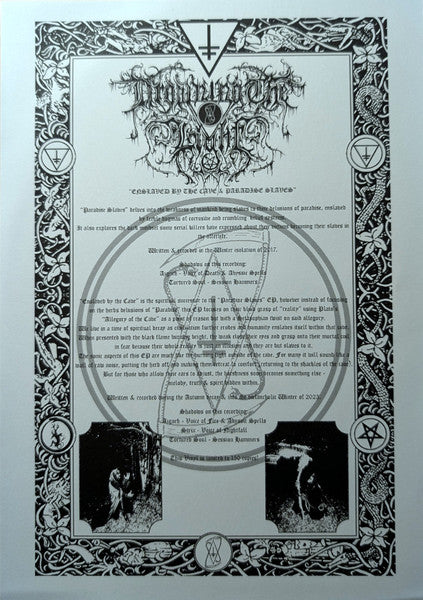 Enslaved By The Cave & Paradise Slaves (VINYL) | Near Mint (NM) Near Mint (NM) - METAL / USED *NEAR MINT*