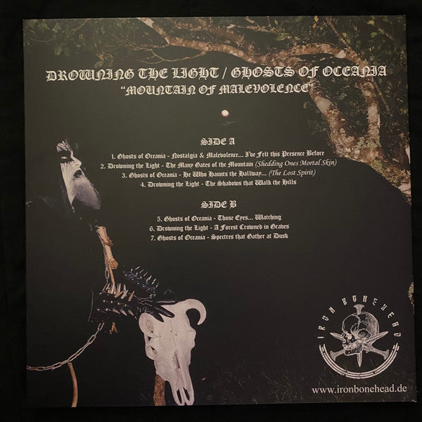 Mountain Of Malevolence (VINYL) | Near Mint (NM or M-) Near Mint (NM or M-) - METAL / USED *NEAR MINT*