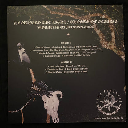 Mountain Of Malevolence (VINYL) | Near Mint (NM or M-) Near Mint (NM or M-) - METAL / USED *NEAR MINT*