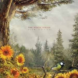 The Acacia Strain - Slow Decay (VINYL LP RISE RISE 462-1 2020) | - METAL / USED *NEAR MINT*