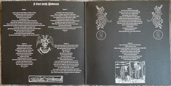 A Pact With Madness (VINYL) | Near Mint (NM) Near Mint (NM) - METAL / USED *NEAR MINT*