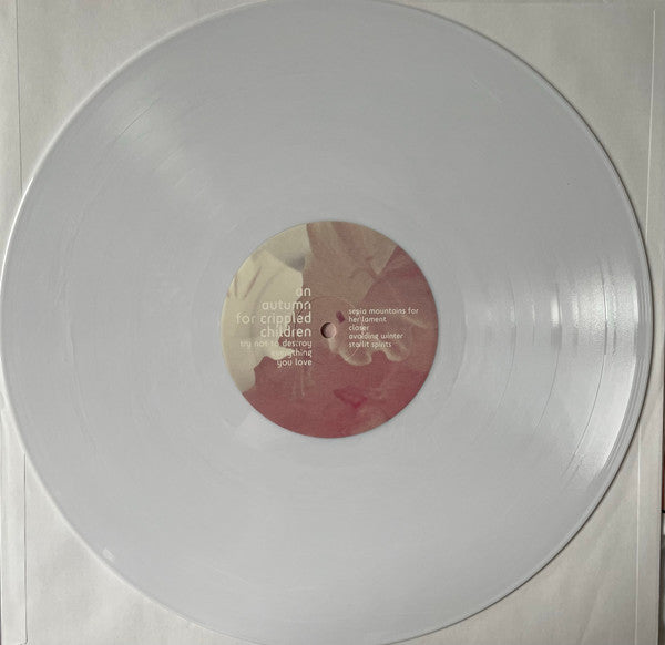Try Not To Destroy Everything You Love (VINYL) | Near Mint (NM) Near Mint (NM) - METAL / USED *NEAR MINT*