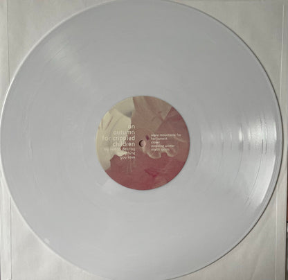 Try Not To Destroy Everything You Love (VINYL) | Near Mint (NM) Near Mint (NM) - METAL / USED *NEAR MINT*