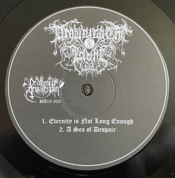Autumn Winds Enfold A Sea Of Despair (10" VINYL) | Near Mint (NM) Near Mint (NM) - METAL / USED *NEAR MINT*
