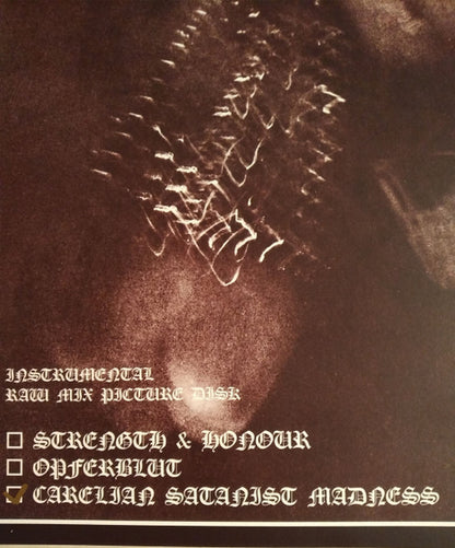 Carelian Satanist Madness (Instrumental Raw Mix) (vinyl) | Near Mint (NM) Near Mint (NM) - METAL / USED *NEAR MINT*