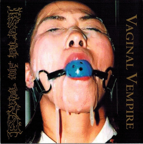 Vaginal Vempire (CD) | Near Mint (NM) Near Mint (NM) - METAL / USED *NEAR MINT*