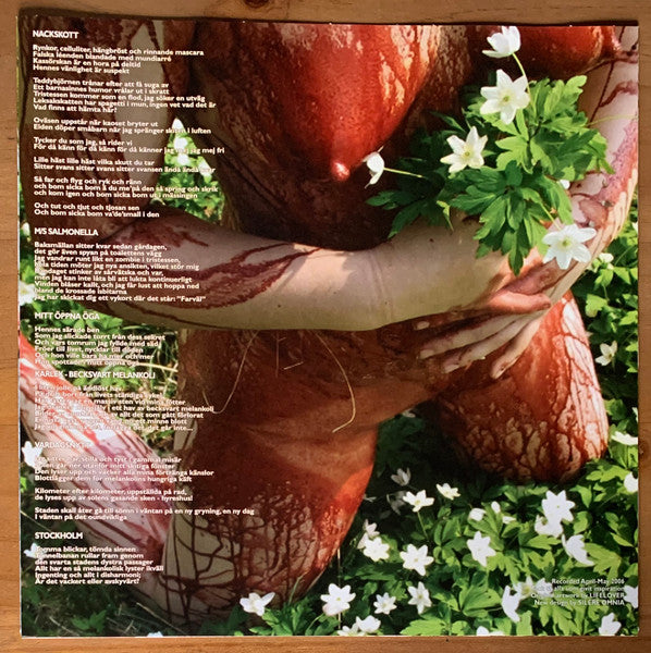 Pulver (VINYL) | Near Mint (NM) Near Mint (NM) - METAL / USED *NEAR MINT*