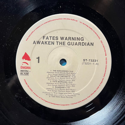 Awaken The Guardian (VINYL) | Near Mint (NM or M-) Near Mint (NM or M-) - METAL / USED *NEAR MINT*