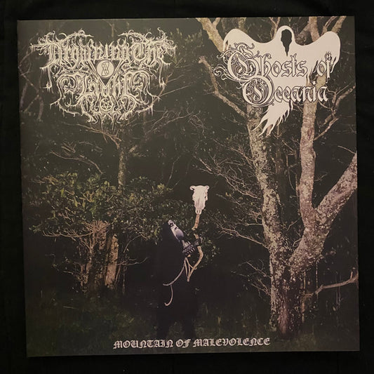 Mountain Of Malevolence (VINYL) | Near Mint (NM or M-) Near Mint (NM or M-) - METAL / USED *NEAR MINT*