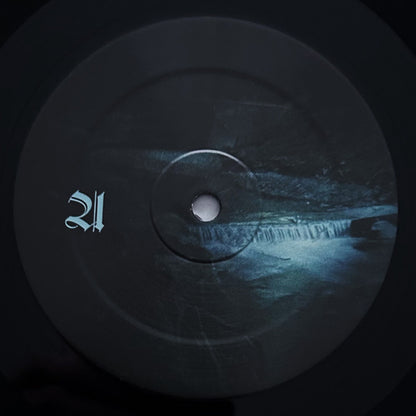 Suicide In Dark Serenity (VINYL) | Near Mint (NM) Mint (M) - METAL / USED *NEAR MINT*