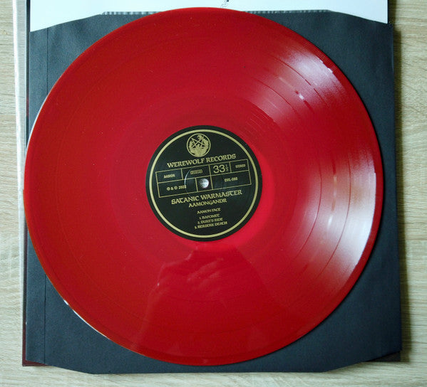 Aamongandr (VINYL) | Near Mint (NM) Near Mint (NM) - METAL / USED *NEAR MINT*