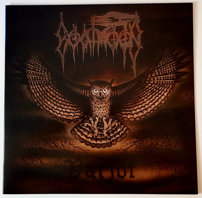 Varjot (VINYL) | Near Mint (NM or M-) Near Mint (NM) - METAL / USED *NEAR MINT*