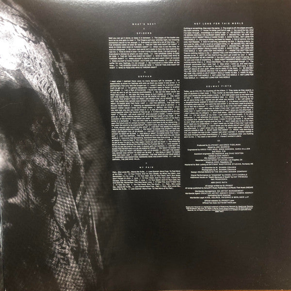 Slipknot - We Are Not Your Kind (VINYL 2LP) | Near Mint (NM or M-) Near Mint (NM) - METAL / USED *NEAR MINT*