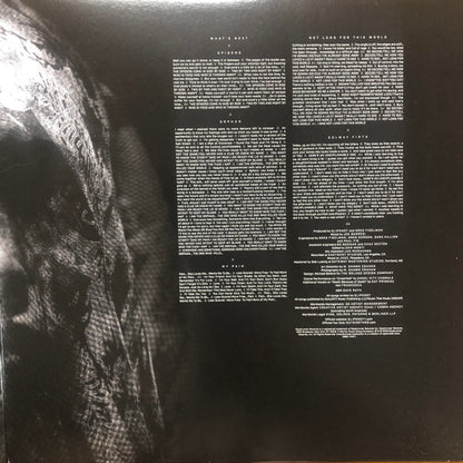 Slipknot - We Are Not Your Kind (VINYL 2LP) | Near Mint (NM or M-) Near Mint (NM) - METAL / USED *NEAR MINT*