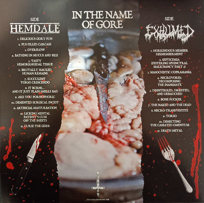 In The Name Of Gore (VINYL) | Near Mint (NM) Mint (M) - METAL / USED *NEAR MINT*