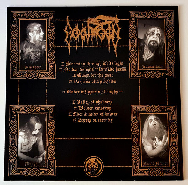 Varjot (VINYL) | Near Mint (NM or M-) Near Mint (NM) - METAL / USED *NEAR MINT*