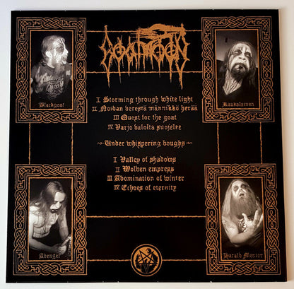 Varjot (VINYL) | Near Mint (NM or M-) Near Mint (NM) - METAL / USED *NEAR MINT*