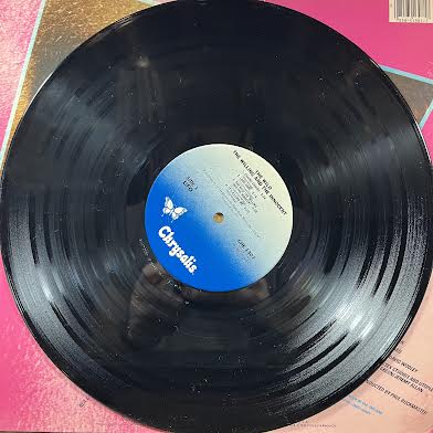 The Wild, The Willing And The Innocent (VINYL) | Near Mint (NM or M-) Excellent (EX) - METAL / USED *NEAR MINT*