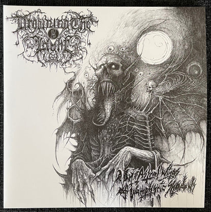 On Astral Wings Of Wamphyric Shadows (2xVINYL) | Near Mint (NM) Near Mint (NM) - METAL / USED *NEAR MINT*