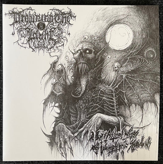 On Astral Wings Of Wamphyric Shadows (2xVINYL) | Near Mint (NM) Near Mint (NM) - METAL / USED *NEAR MINT*