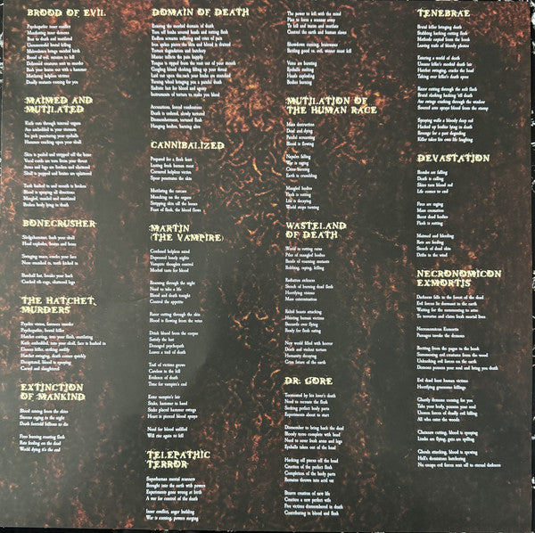Domain Of Death (VINYL) | Near Mint (NM) Near Mint (NM) - METAL / USED *NEAR MINT*