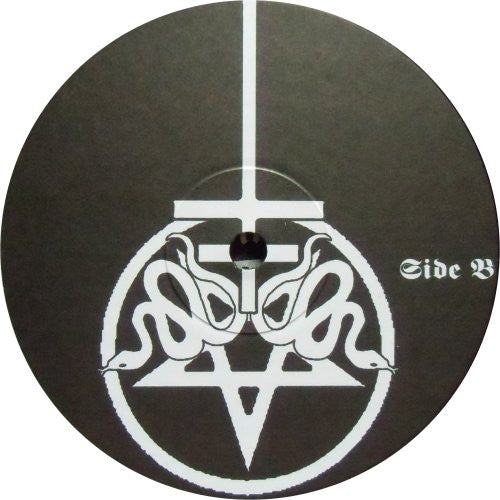 The Fading Rays Of The Sun (10" vinyl) | Near Mint (NM) Near Mint (NM or M-) - METAL / USED *NEAR MINT*