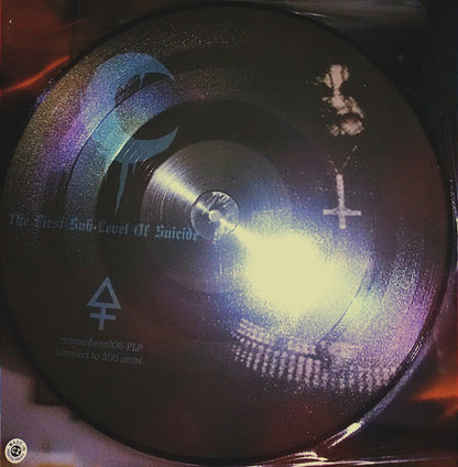 The First Sub-Level Of Suicide (PICTURE VINYL) | Near Mint (NM or M-) Near Mint (NM or M-) - METAL / USED *NEAR MINT*