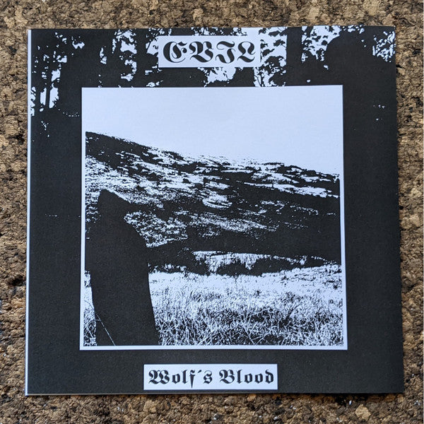 A Reflection Of The Past / Where The Sun Was Never Born (VINYL + 7") | Near Mint (NM or M-) Near Mint (NM or M-) - METAL / USED *NEAR MINT*
